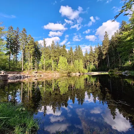 Izerskibike Ap 38 Swieradow-Zdroj