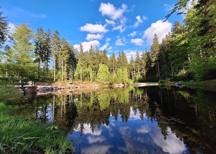 Izerskibike Ap 38 Swieradow-Zdroj